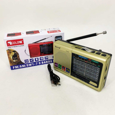 Портативна стовпчик радіо MP3 USB Golon RX-6622. Колір: золотий 