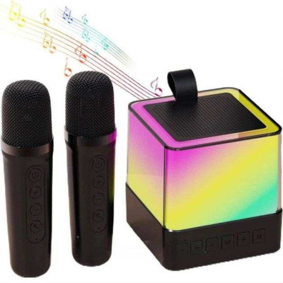 Портативна караоке система з двома мікрофонами Bluetooth акустична колонка для дому та вечірок Black 